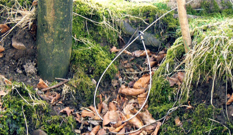 Hunting Snare